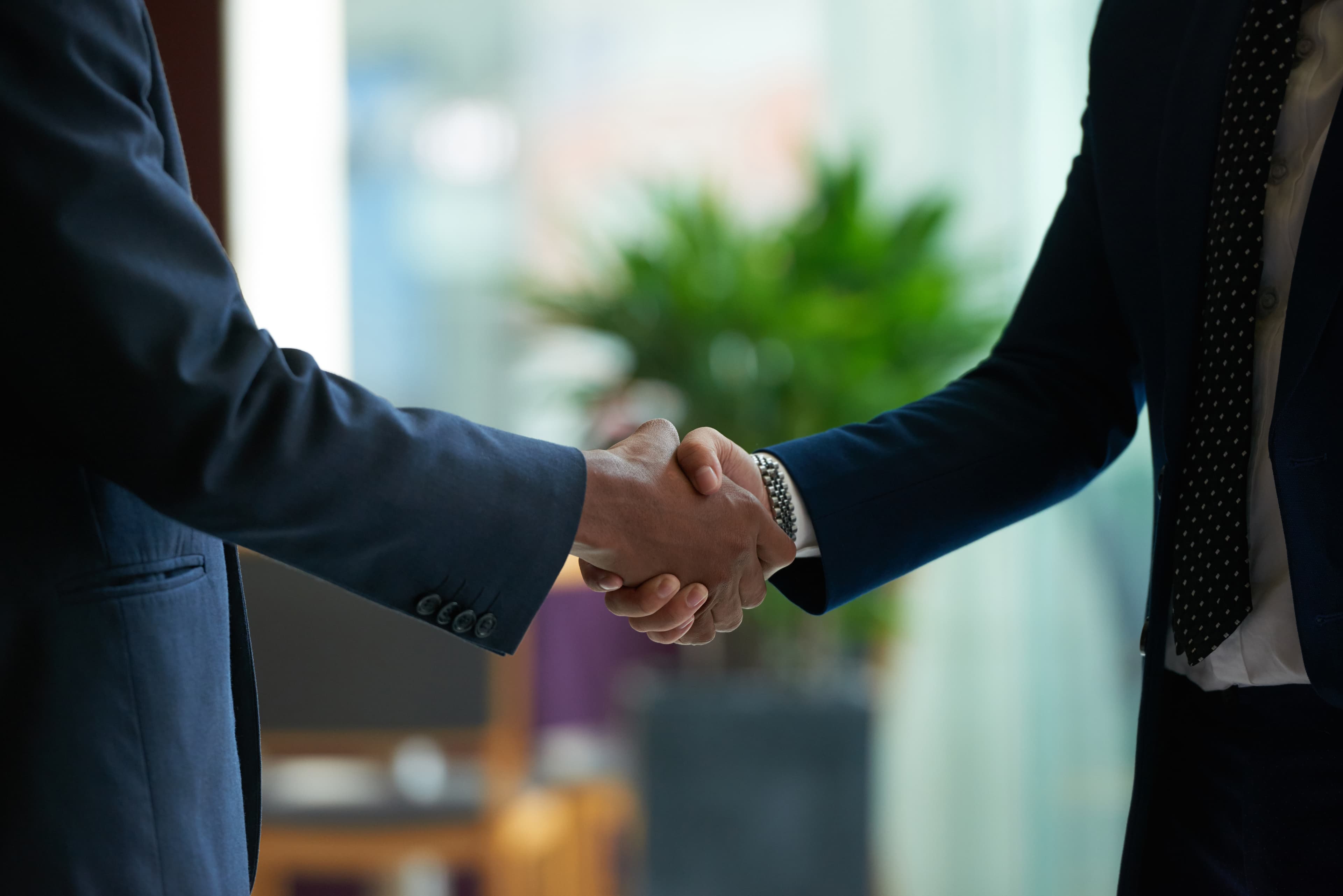 Two people shaking hands